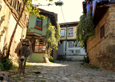 Cumalıkızık, Bursa ve İznik