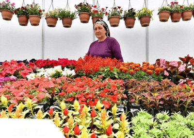 Bayindir Çiçek Festivali ve Ege Köyleri Turu