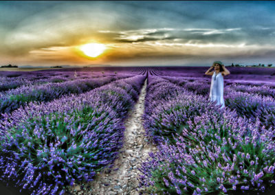 Lavantalar, Sagalassos ve Pamukkale Turu (Ankara Çıkışlı)