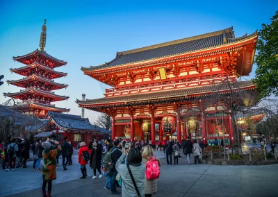 Sakuraların İzinde: Tokyo ve Fuji Turu